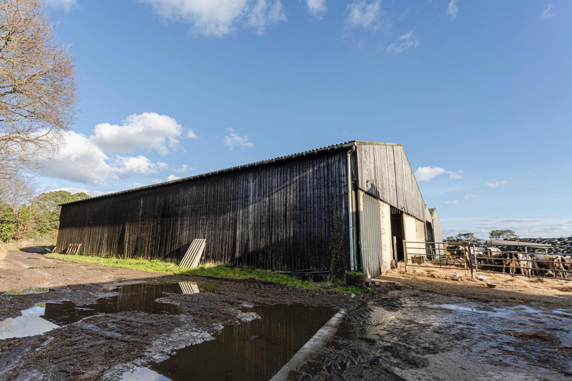 A La Ferme Du Cosquer Villa บาดอง ภายนอก รูปภาพ