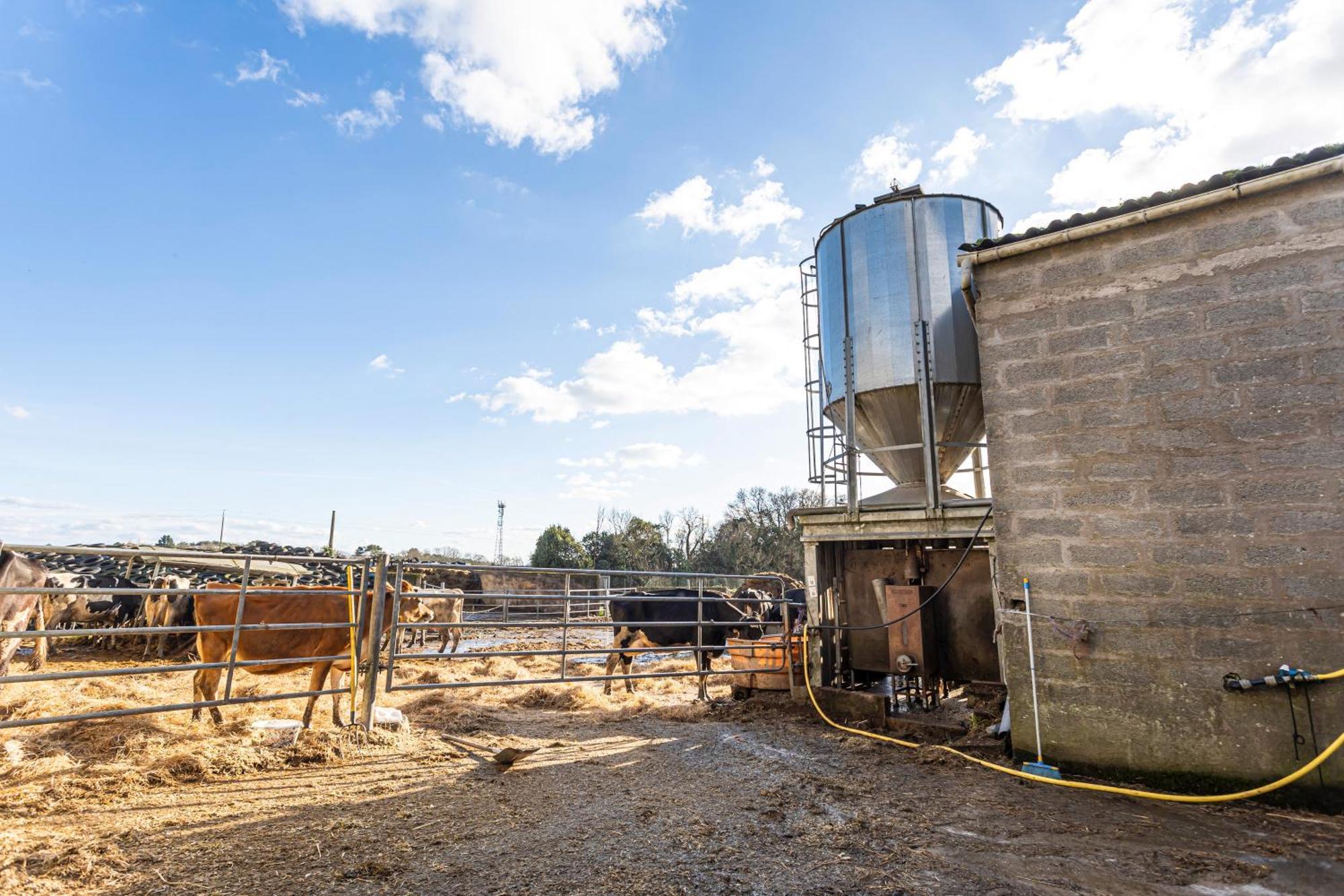 A La Ferme Du Cosquer Villa บาดอง ภายนอก รูปภาพ