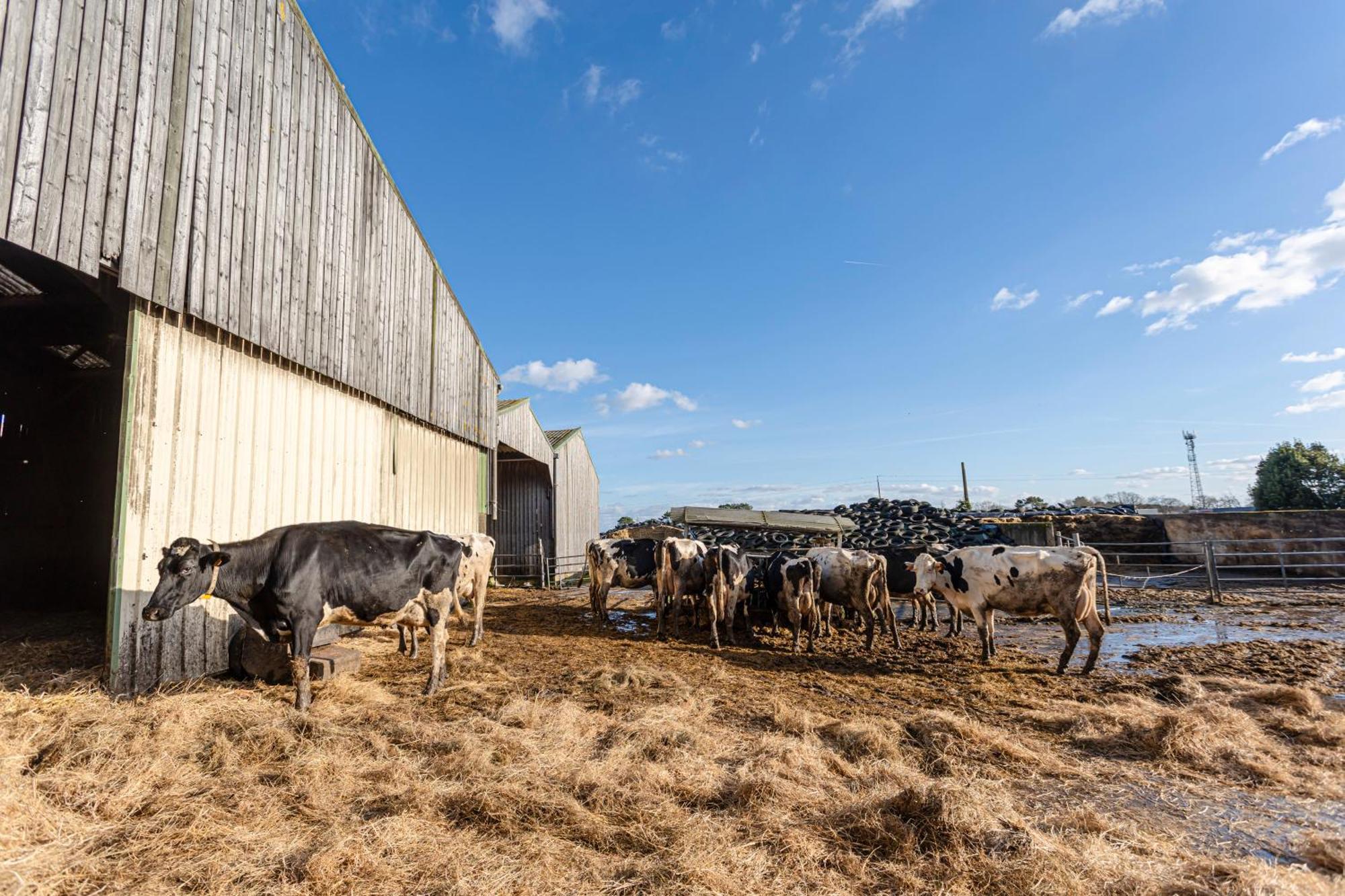 A La Ferme Du Cosquer Villa บาดอง ภายนอก รูปภาพ
